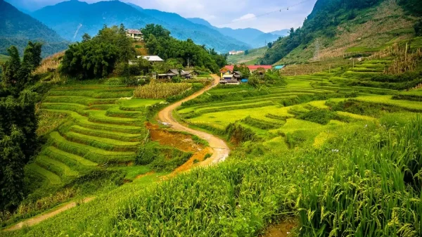 Sapa-tour-Cat-Cat-Village-1