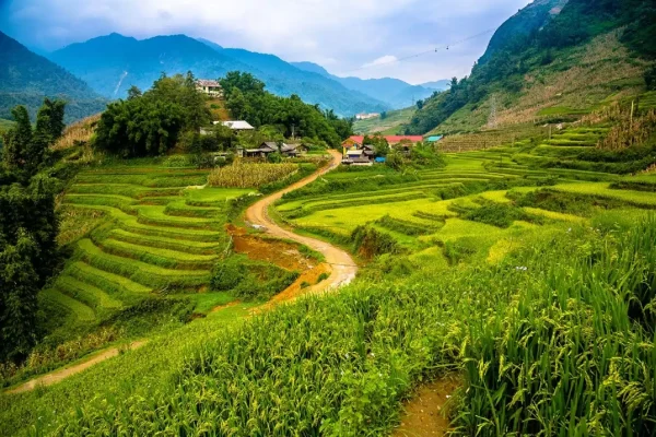 Tour du lịch Sapa - Cát Cát (1/2 ngày)